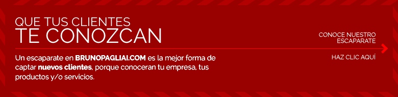 Conociendo el portal BRUNOPAGLIAI.com